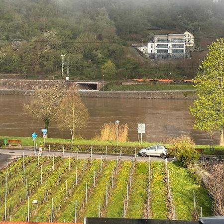 Hakans Moselblick Ferienwohnung Treis-Karden Luaran gambar