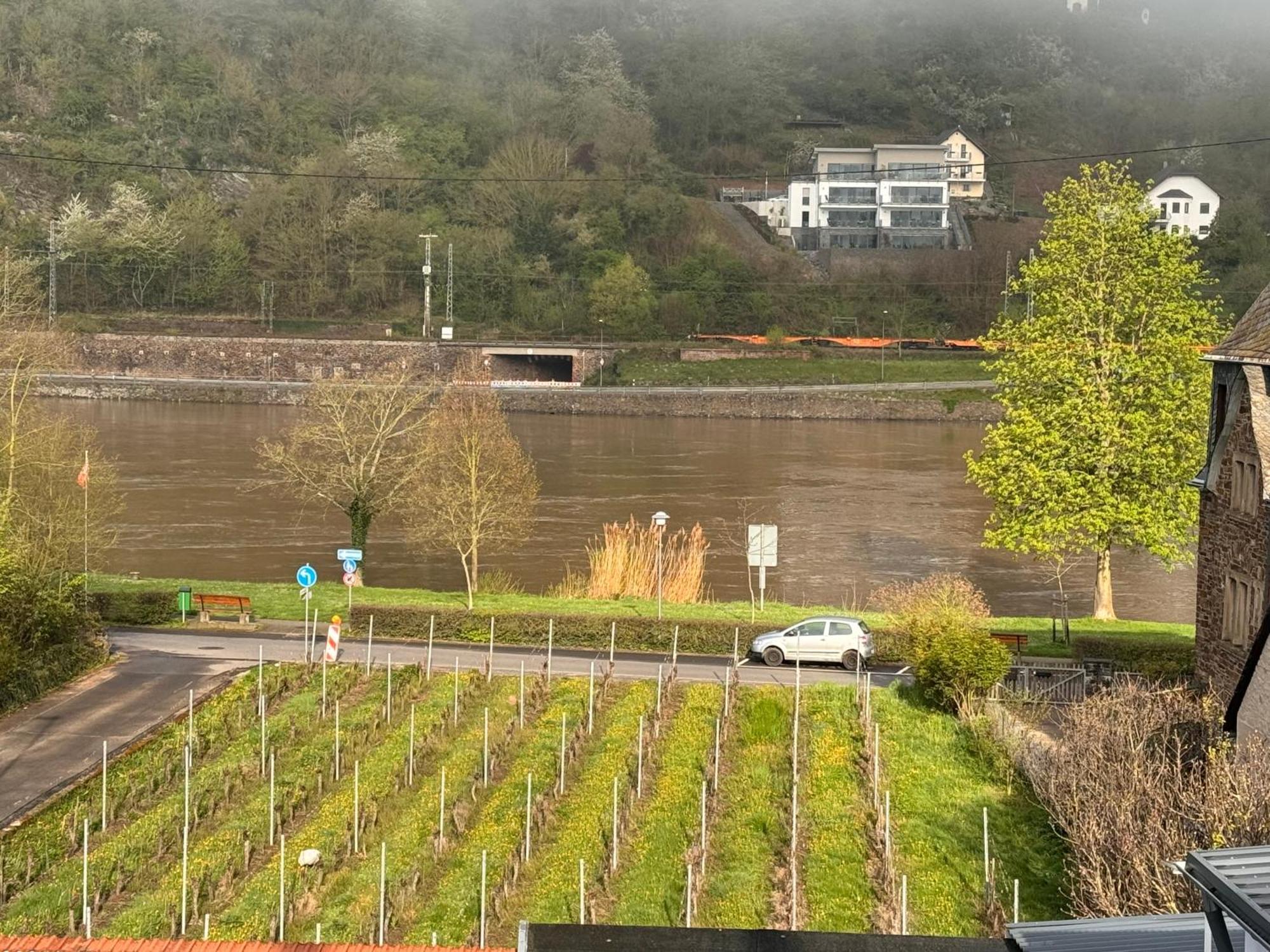 Hakans Moselblick Ferienwohnung Treis-Karden Luaran gambar
